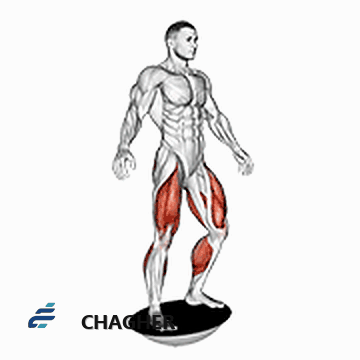 تختهٔ تعادل با وزن بدن