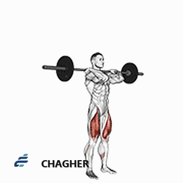 اسکوات از جلو clean-grip با هالتر