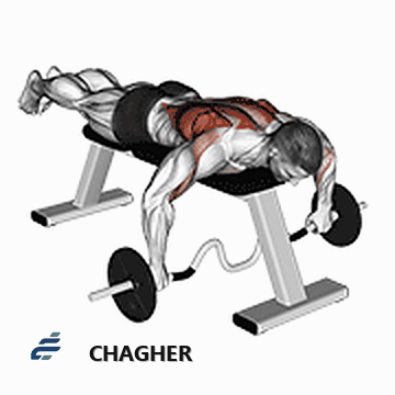 پارویی cambered میله خوابیده با هالتر
