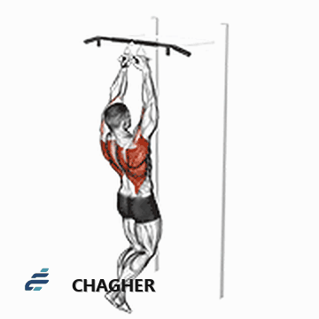 chin-ups موازی دست‌جمع با وزن بدن