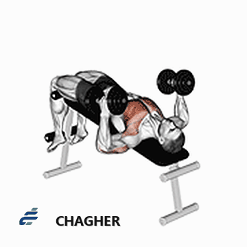 پرس چکشی زیر سینه با دمبل
