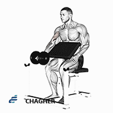 جلو بازو لاری با دمبل