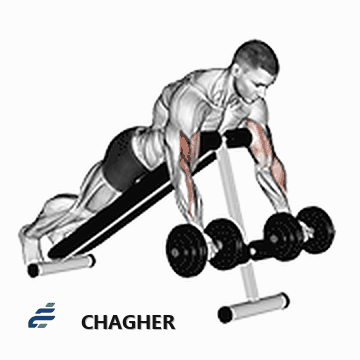 جلو بازو بالا سینه دمر با دمبل