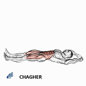 دراز و نشست jackknife با وزن بدن