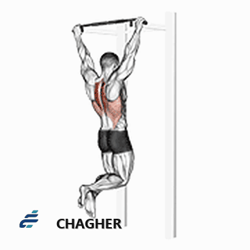 بارفیکس scapular با وزن بدن