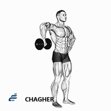 چرخش خارجی upright سرشانه با دمبل