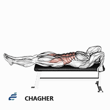 بالا آوردن leg-hip خوابیده با وزن بدن