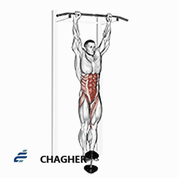 بالا آوردن آویزان leg-hip با وزنه