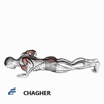 upward facing dog با وزن بدن