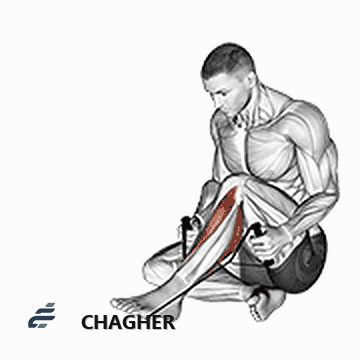 کشش posterior tibialis با طناب