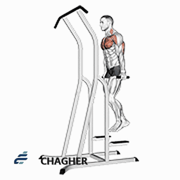 دیپ سینه روی dip-pull-up قفس با وزن بدن