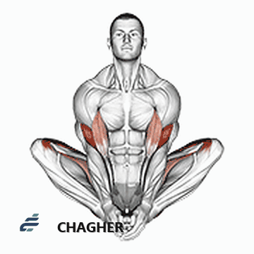 butterfly yoga حالت با وزن بدن