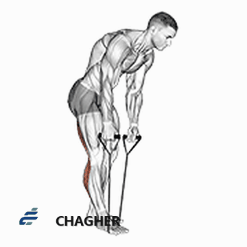 کشش همسترینگ و ساق strap ایستاده با طناب