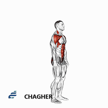 posterior پله تا رساندن بالای سر با وزن بدن