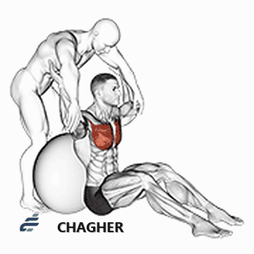 کشش pectoralis major توپ تعادلی نشسته با کمک‌دار