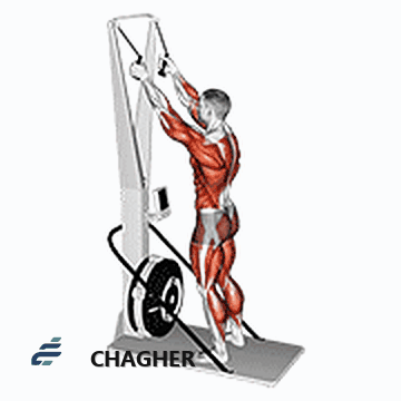 ski ergometer با دستگاه اسکی