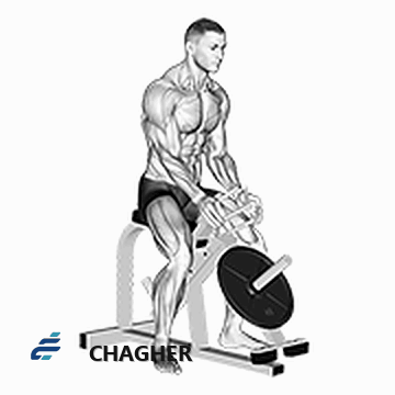 اهرمی gripper دست‌ها با دستگاه اهرمی