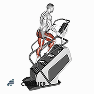 راه‌رونده روی stepmill با دستگاه پله