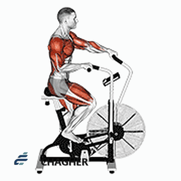 cycle ضربدری دستگاه با دستگاه اهرمی