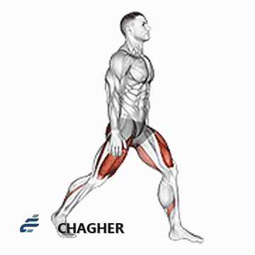 split squats با وزن بدن