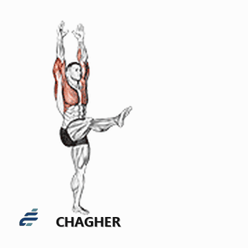 handstand با وزن بدن