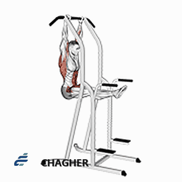 l-pull-up با وزن بدن