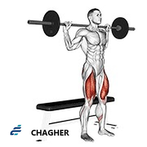 اسکوات میز با هالتر