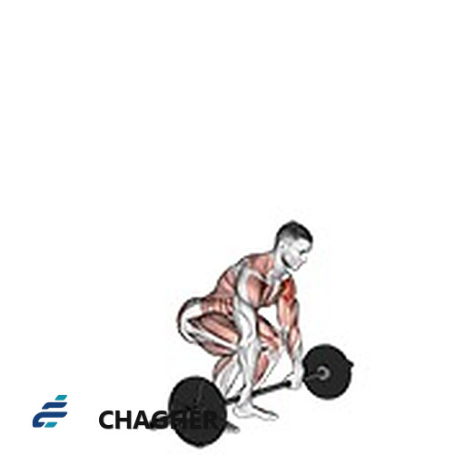 پرس کلین و با هالتر