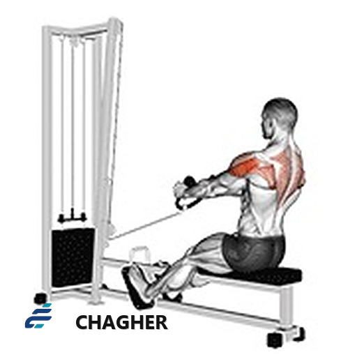 پارویی دلتوئید stirrups پشت با سیم‌کش