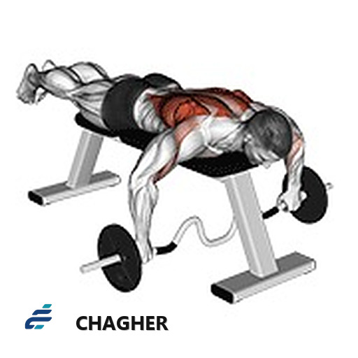 پارویی cambered میله خوابیده با هالتر