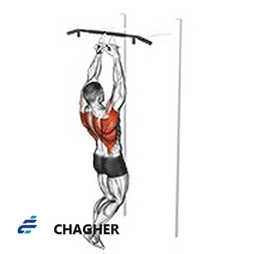 chin-ups موازی دست‌جمع با وزن بدن