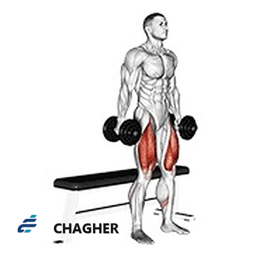 اسکوات میز با دمبل