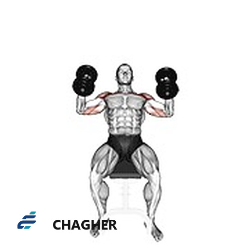 پرس چکشی بالا سینه با دمبل