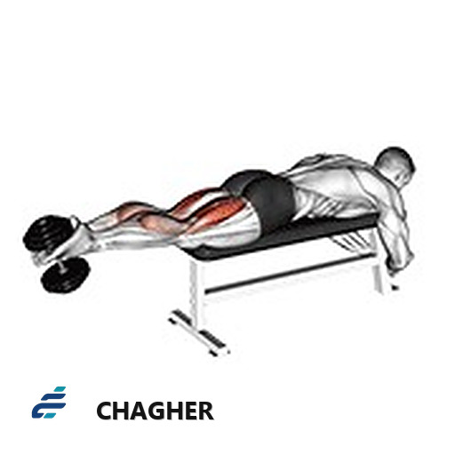 femoral خوابیده با دمبل