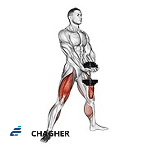 اسکوات پلایومتریک با دمبل