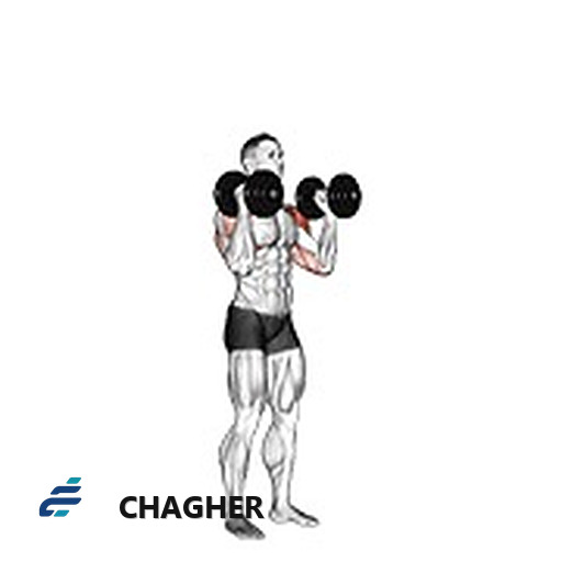 پرس کف دست‌ها در ایستاده با دمبل