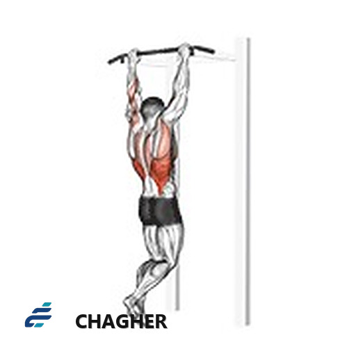 gironda sternum چانه با وزن بدن