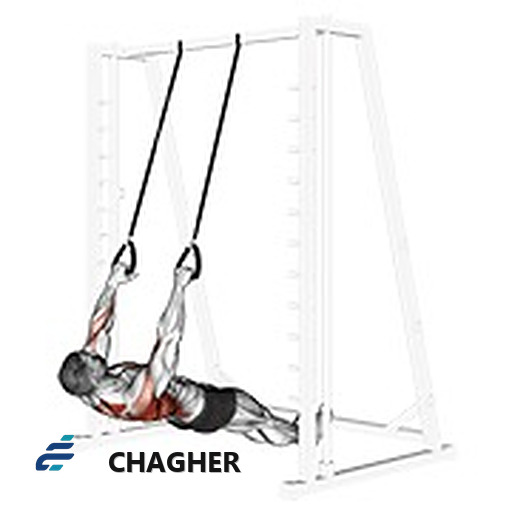 پارویی وارونه straps با وزن بدن
