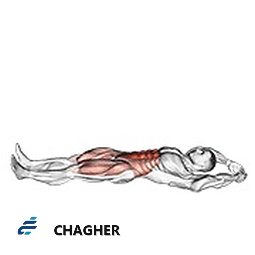 دراز و نشست jackknife با وزن بدن
