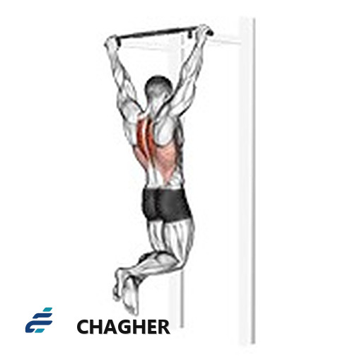 بارفیکس scapular با وزن بدن