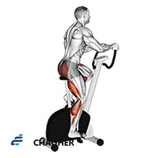 راه رفتن stationary دوچرخه با دستگاه اهرمی