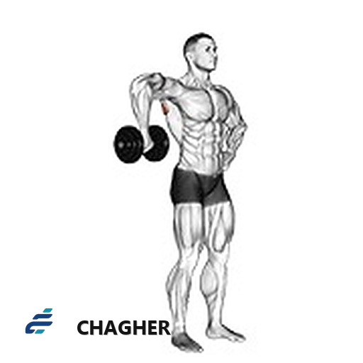 چرخش خارجی upright سرشانه با دمبل