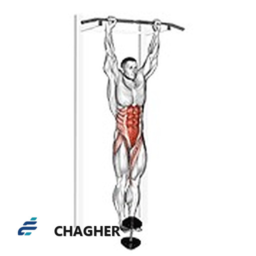 بالا آوردن آویزان leg-hip با وزنه