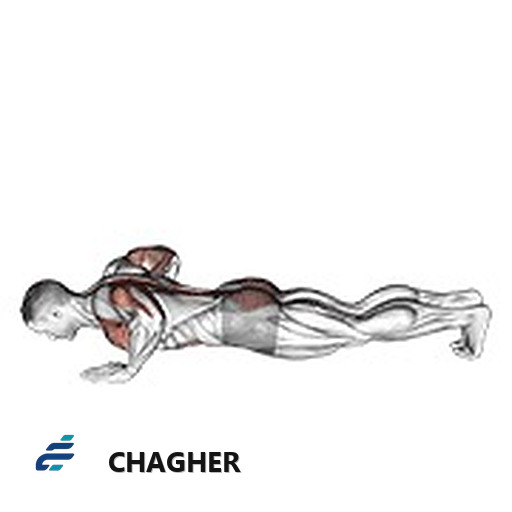 upward facing dog با وزن بدن