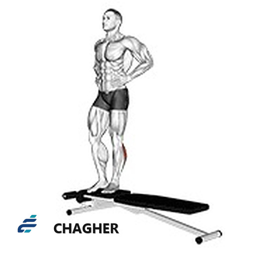 پرش پایین stabilization تک‌پا جعبه با وزن بدن