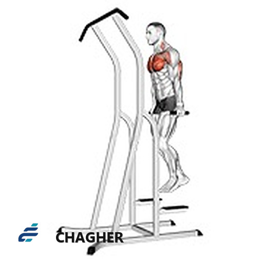 دیپ سینه روی dip-pull-up قفس با وزن بدن