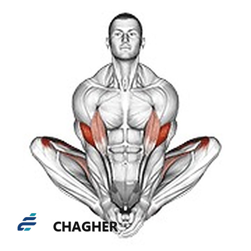 butterfly yoga حالت با وزن بدن