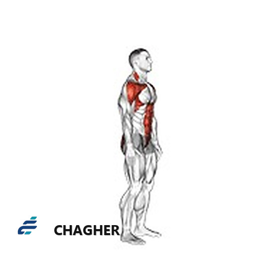 posterior پله تا رساندن بالای سر با وزن بدن