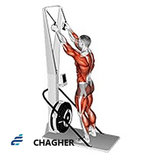 ski ergometer با دستگاه اسکی