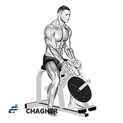 اهرمی gripper دست‌ها با دستگاه اهرمی